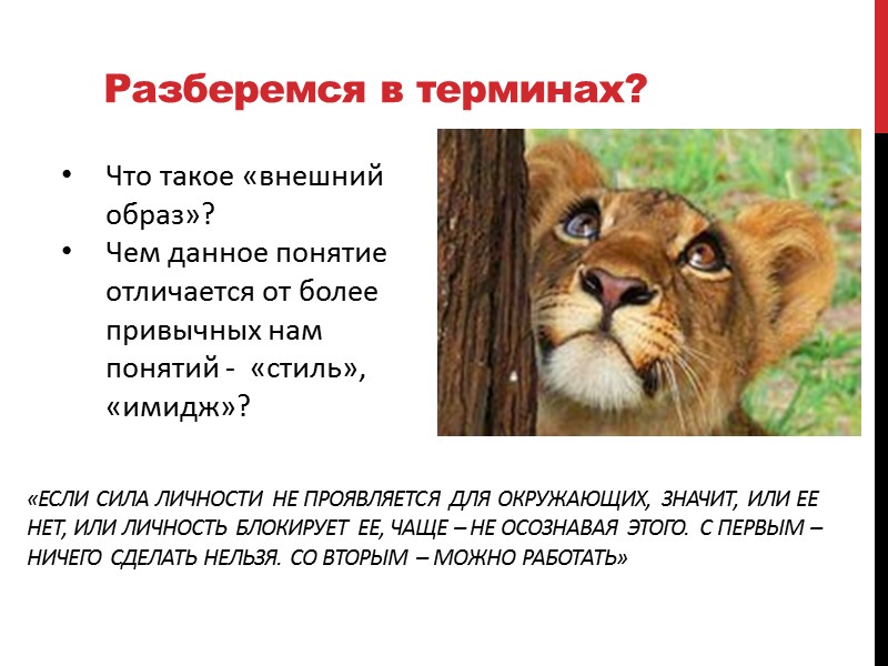 Разберемся в терминах? Что такое «внешний образ»? Чем данное понятие отличается от более привычных